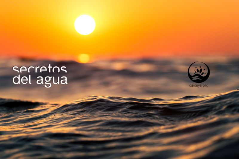 Fusión Barros Gold y Tradicionales. 